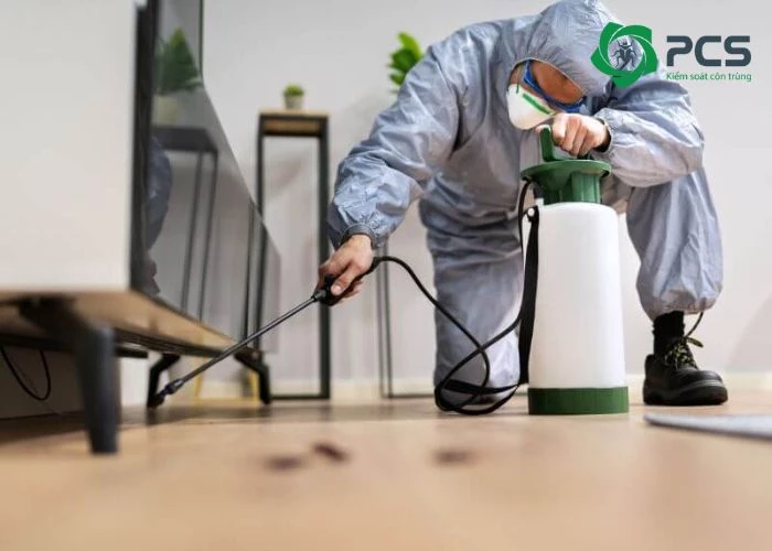 Tại sao nên sử dụng dịch vụ diệt gián tại Biên Hoà?